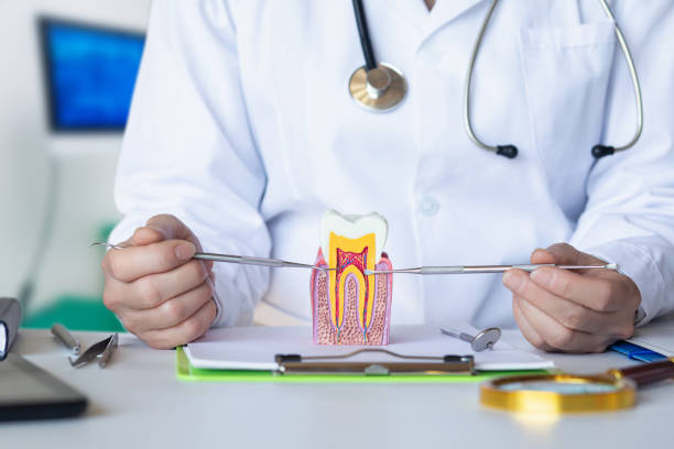 Best Emergency Treatment for Dental Infections or Abscesses in Painesville, OH